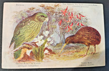 NEW ZEALAND 1905 KAKAPO / KIWI