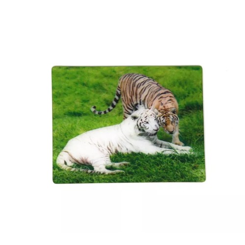 Magnet tiere tiger - tiere,