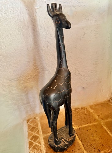 Giraffe afrikanische - giraffe,