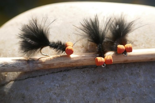 Mark s booby - st., mark`s-booby-fly