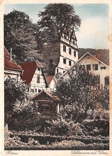 Hirsau schlossruine mit ulme - hirsau,