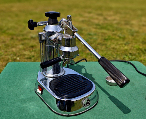 Pavoni europiccola - la,