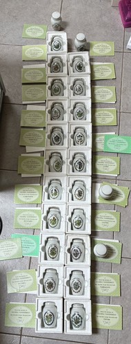 Franklin mint gloria - mint, concept