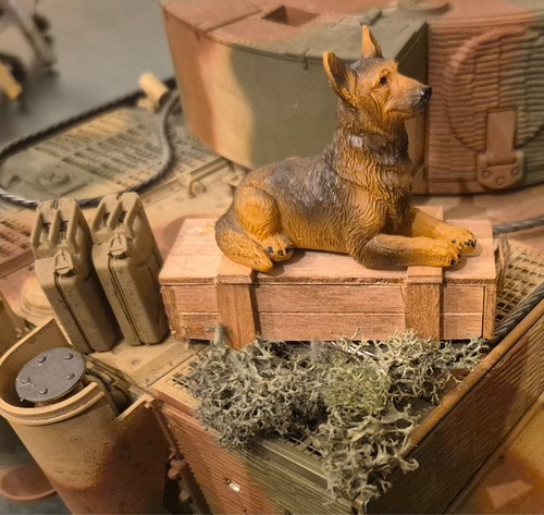 Deutscher schäferhund - deutscher,