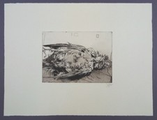 Horst Janssen Toter Vogel