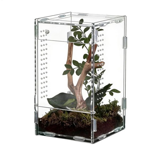 Springspinnen terrarium acryl - springspinnen,