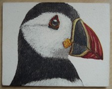 Deko HDF - Tiere Exoten Papageientaucher Vögel Natur