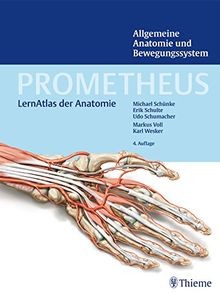 Prometheus allgemeine anatomie - allgemeine,