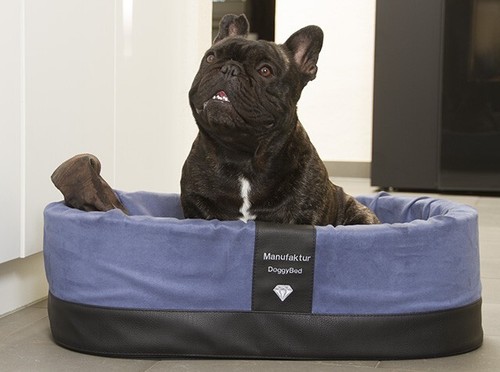 Doggybed orthopädischer - doggybed,