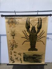 SCHULKARTE LEHRTAFEL LEHRKARTE