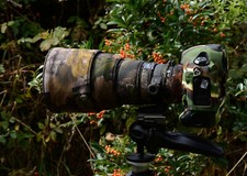 Sigma 300mm f2.8 Dg HSM Apo