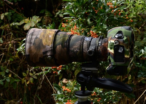 Sigma 300mm hsm apo - f2.8,