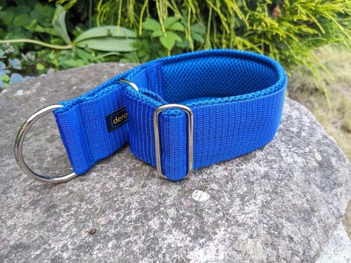 Hundehalsband blau extra - extra, breit