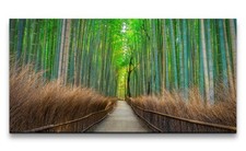 120x60cm Leinwandbild