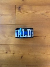 SV Waldhof Mannheim Ultras