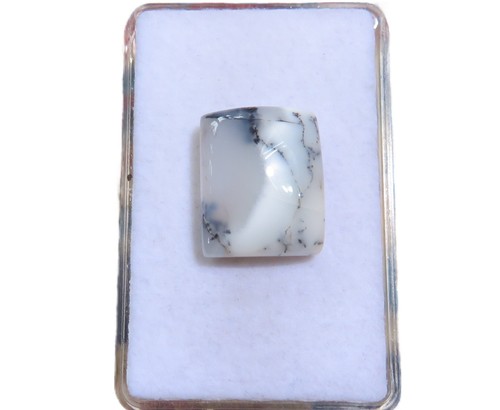Dendriten opal dendrite - dendrite,