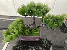 Künstlicher Bonsai Baum