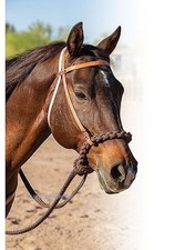 Loping Hackamore –