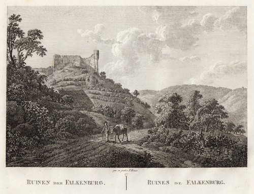 Trechtingshausen falkenburg - trechtingshausen,