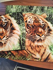 Bettwäsche Mikrofaser gebraucht 135x200 cm Tiger grün braun