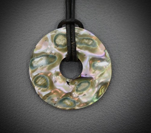 Abalone paua seeopal haliotis - paua,