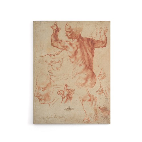 Michelangelo studien für - –,