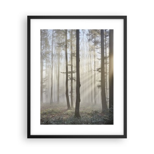 Wandbilder 40x50cm poster wald - 40x50cm,