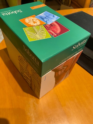 Sobotta lernkarten knochen - lernkarten,
