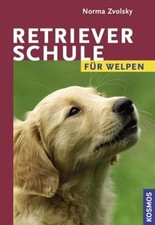 Retrieverschule für Welpen