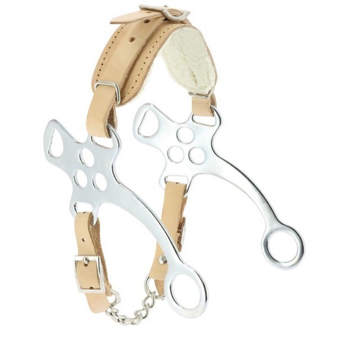 Feeling hackamore pony - hackamore,