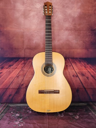 Alte gitarre höfner vintage - alte,