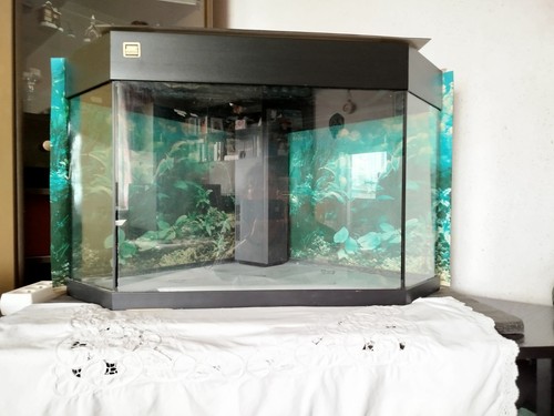 Aquarium von juwel - aquarium, für