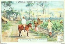 Chrom Liebig Blut 715