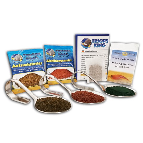 Triops red longicaudatus - triops,