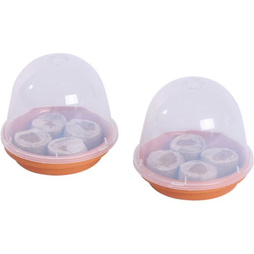 2er mini anzuchtset - 2er,