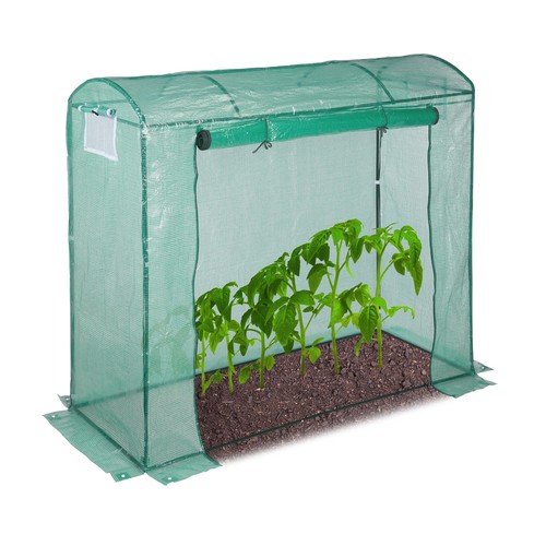 Tomatengewächshaus