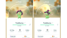 🐻Shiny Teddiursa Witch Hat (Teddiursa Hexenhut) Pokemon GO🐻 Exchange or PTC