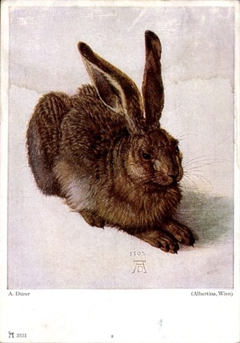 Künstler dürer albrecht - künstler,