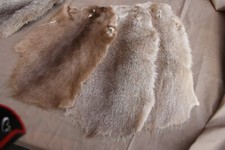 3 Stk. Biberratte Felle /