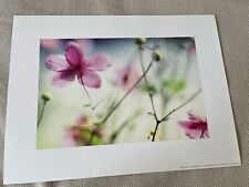 Ikea Endless Summer Bild Poster mit Blumen floral freundlich