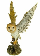 Große Große Schleiereule