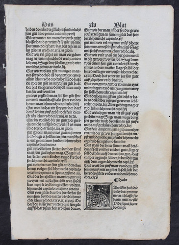 Deutsche inkunabel eike von - deutsche,