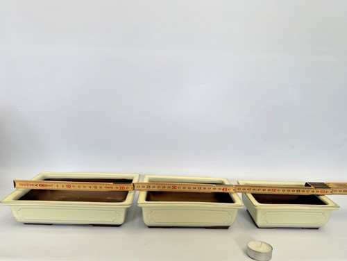 Bonsai schale rechteckig - bonsai,