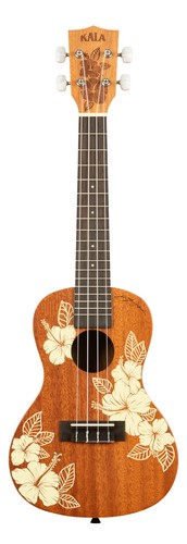 Kala hibiscus - c,