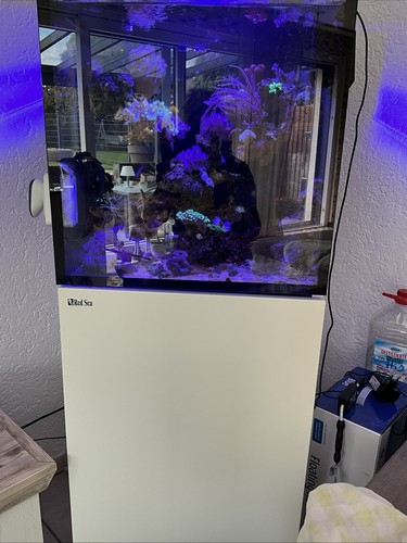 Red sea max nano weiß - nano,