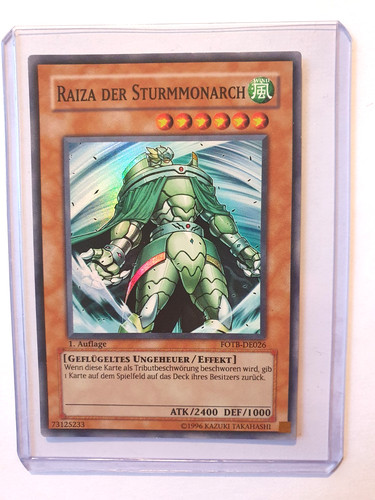Raiza der sturmmonarch - der,