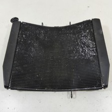Kawasaki ZX-14R ZX 1400 ZZR 1400 Ninja Kühler Lüfter Wasserkühler 41279