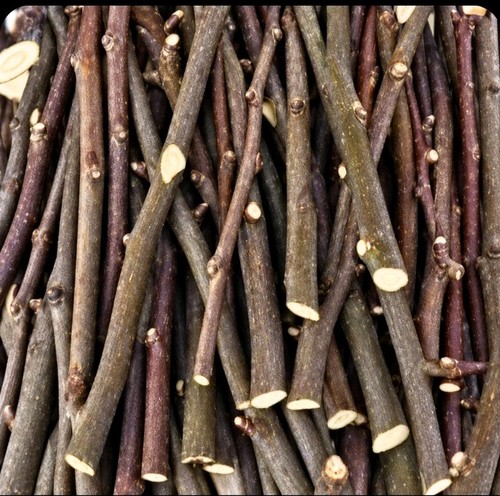 Knabberholz apfel äste - knabberholz,