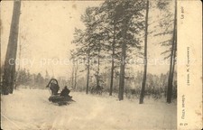 Pferde Pferdeschlitten