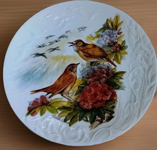 Rosenthal wandteller - rosenthal,